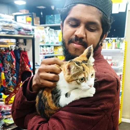 Shawn H. profile photo