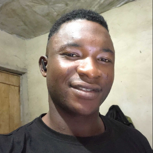 Akinyemi S.