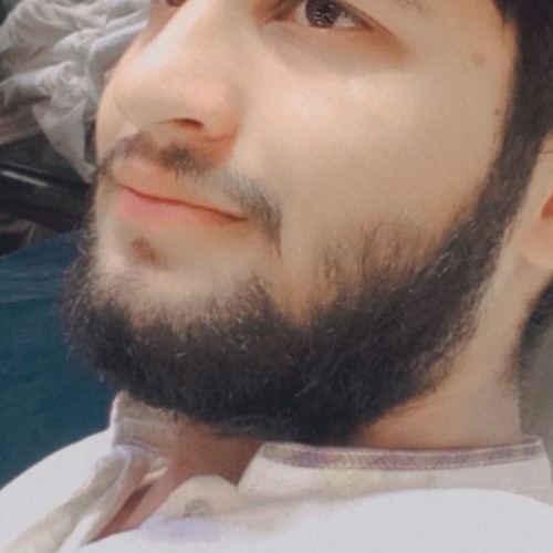 Ali H.