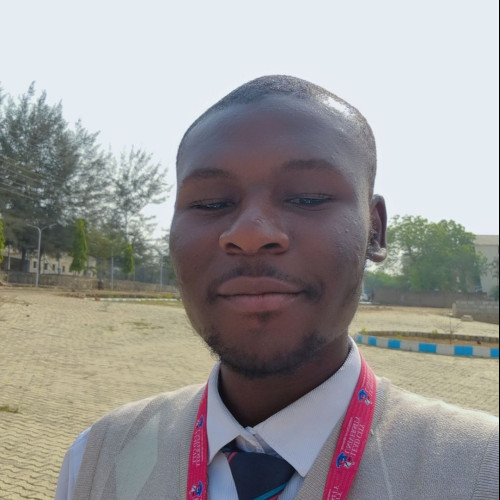 Olaoluwa A. profile photo