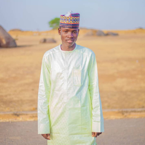 Usman  S. profile photo