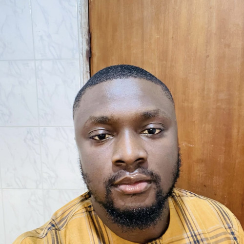 Oluwadamilola T. profile photo