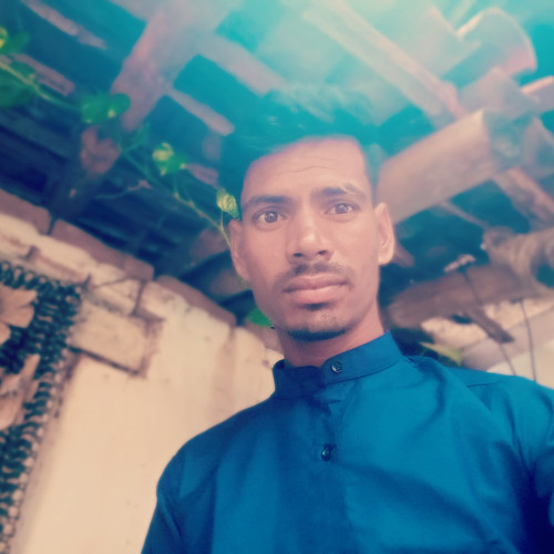 Hari P. profile photo