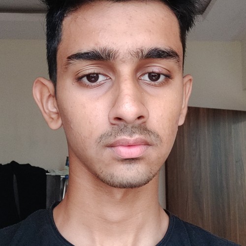 Arsalan P.