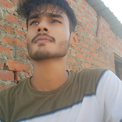Aditya A. profile photo