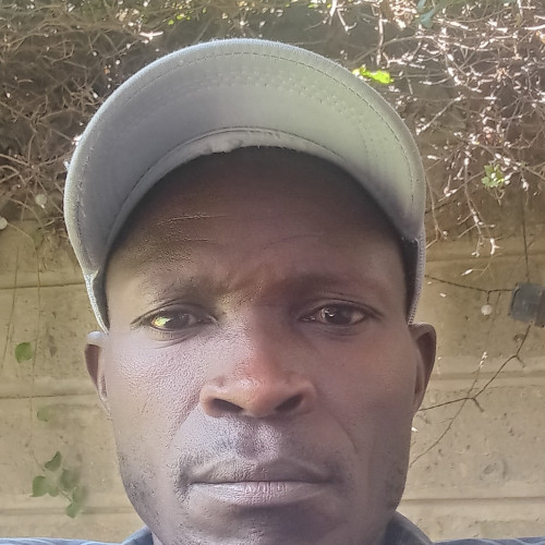 gilbert s. profile photo