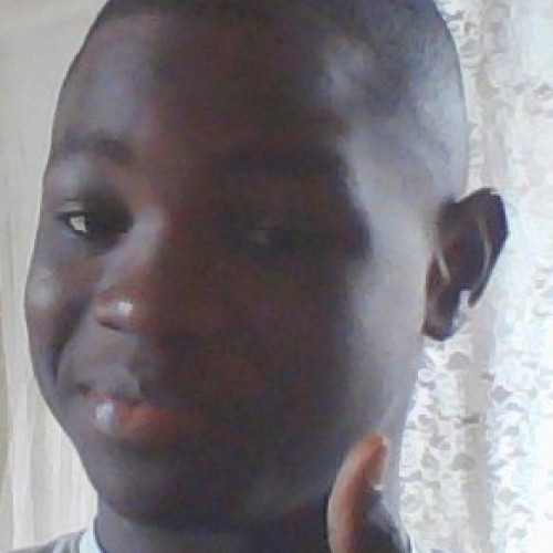 David N. profile photo