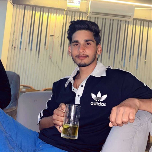 Aditya S.