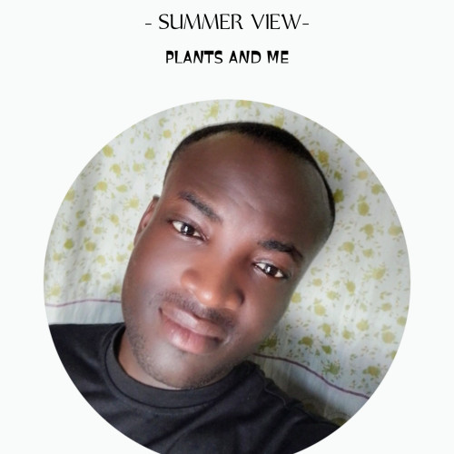David  K. profile photo