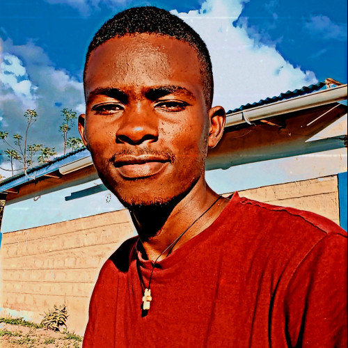 Mike M. profile photo