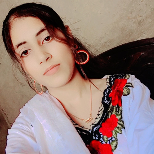 Arham A. profile photo