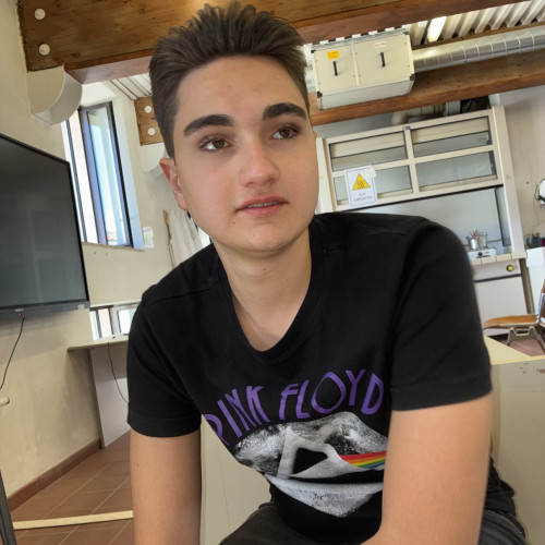 Loris P. profile photo