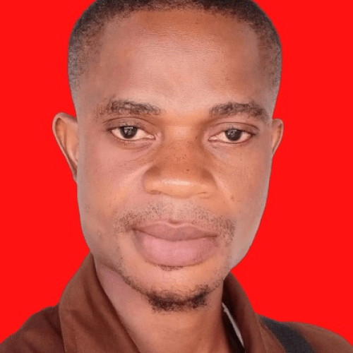 OLABODE  S. profile photo