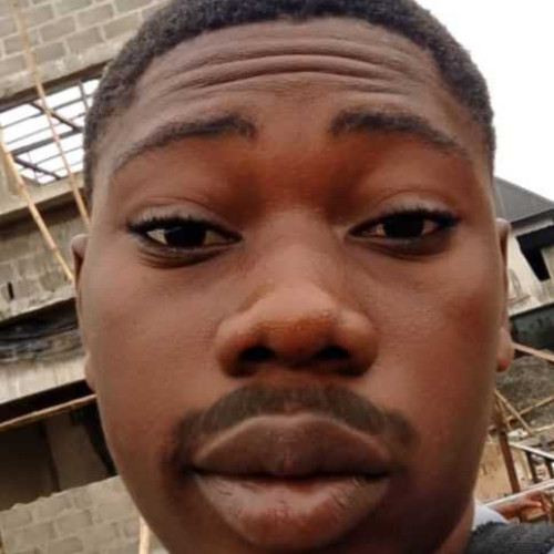 OGAGA OTOKAME G. profile photo