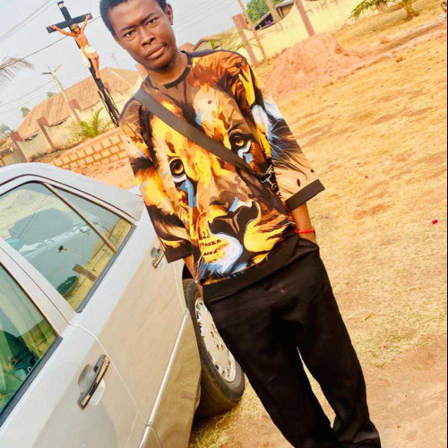 Chukwuemeka U. profile photo