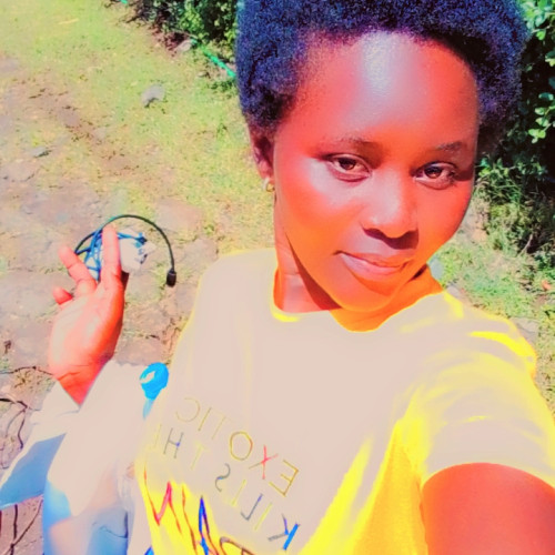 Merab L. profile photo