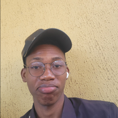 Bolarinwa  T. profile photo