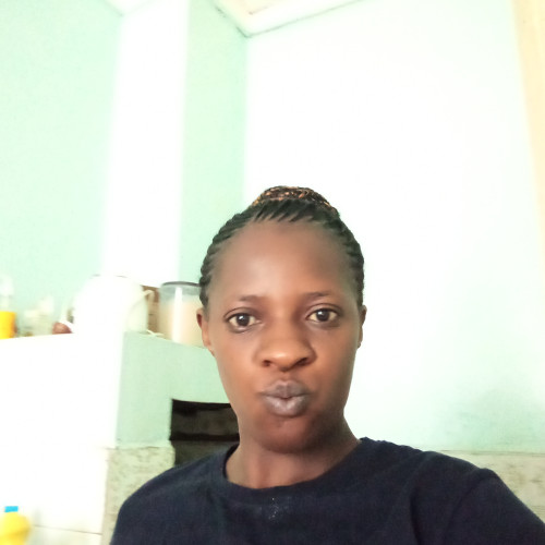 Harry  K. profile photo