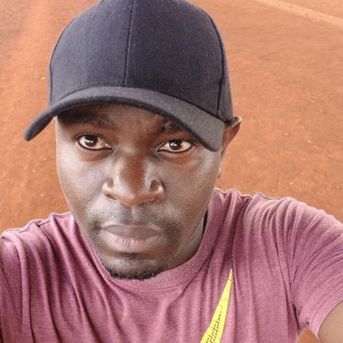 tom o. profile photo