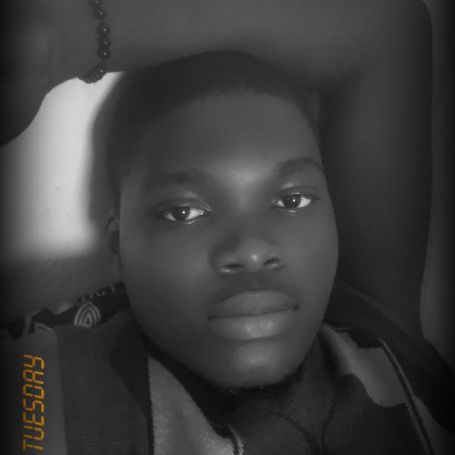 Ogunsanlu E. profile photo