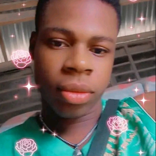 Loto  O. profile photo