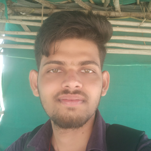 Maddy P. profile photo