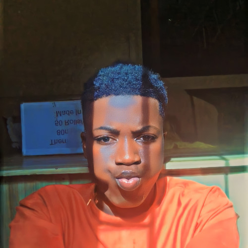 Olaoluwa  M. profile photo