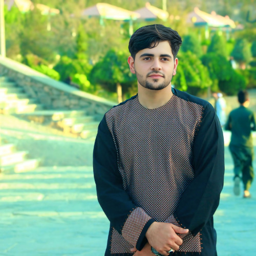 hamid h. profile photo