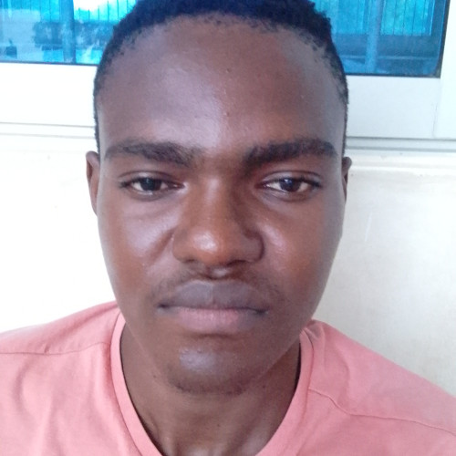 Stephen K. profile photo