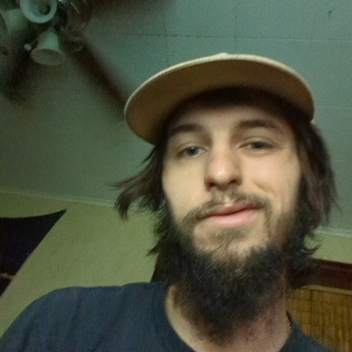 bryce d.