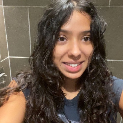 Analisa P.