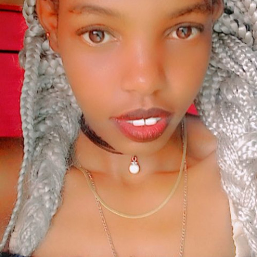 Steph L. profile photo