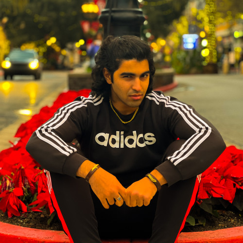 Sorena S. profile photo