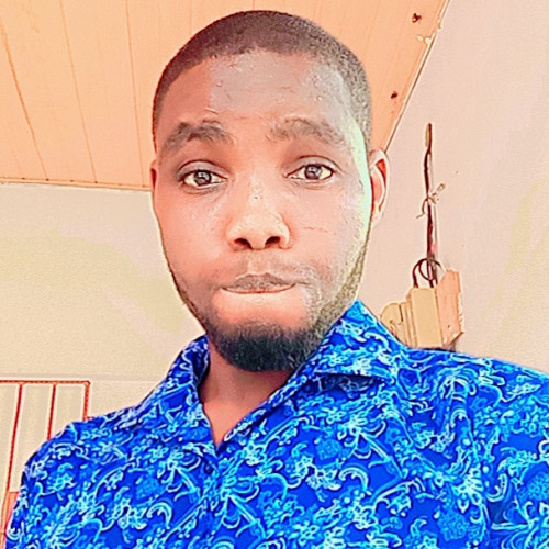 Adebiyi P. profile photo