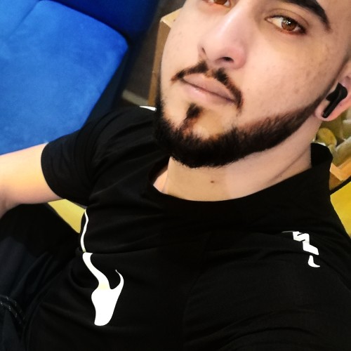 hamza n. profile photo