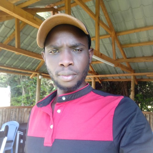 Ezra K. profile photo