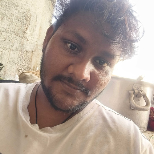 Paladugu N. profile photo