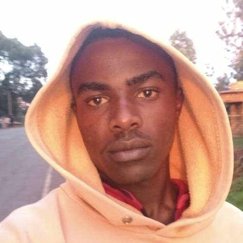 Dennis  N. profile photo