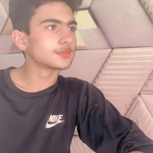 Ali A. profile photo