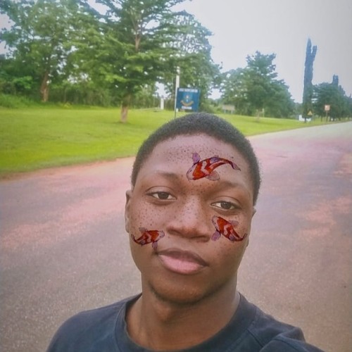 Tamilore O.