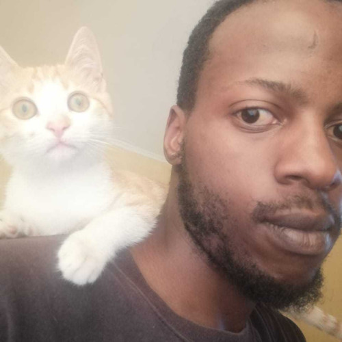 Bukhosi S. profile photo