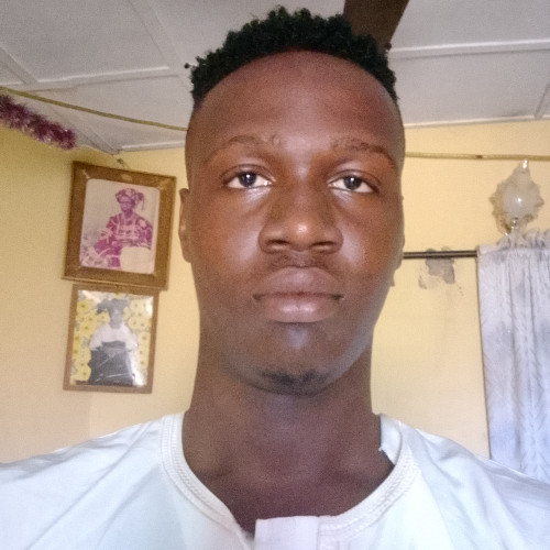 Olalekan  S. profile photo