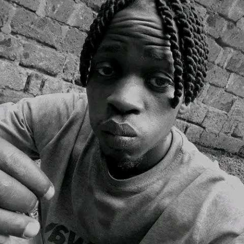 Stephen n. profile photo