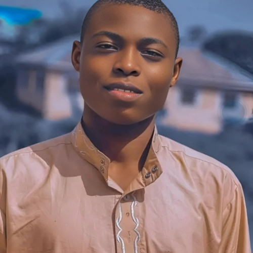 Abideen  A. profile photo