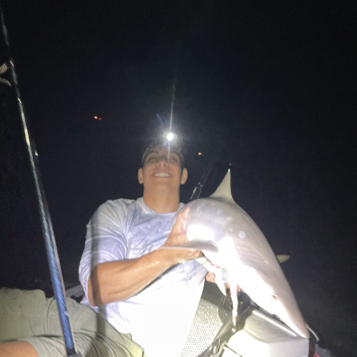 Matthew C. profile photo