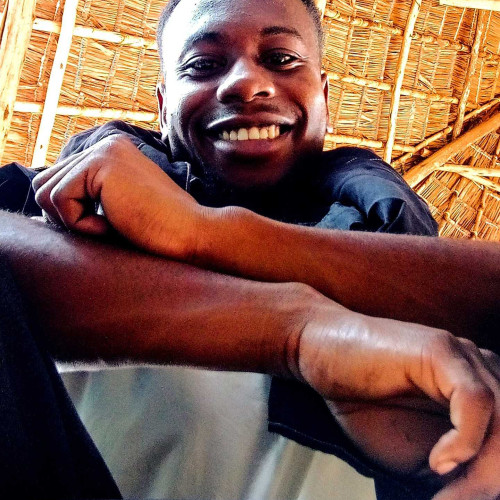 Ally S. profile photo