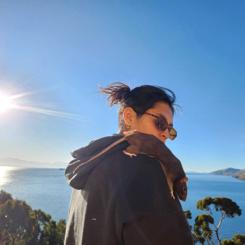 Adriana Z. profile photo