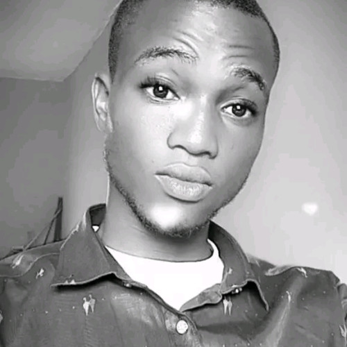 Temitope Raphael  A. profile photo