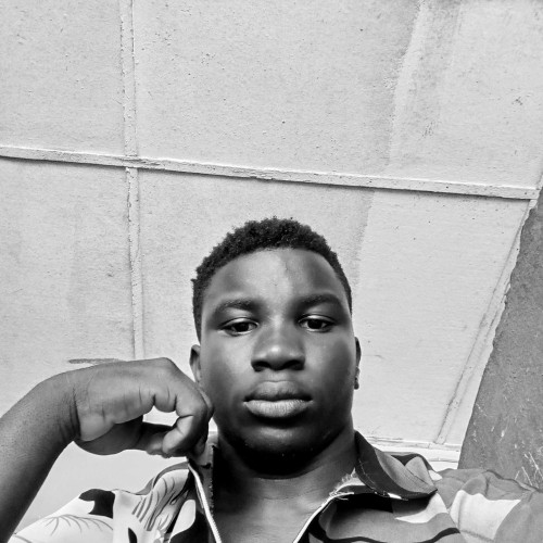 Ekemezie D. profile photo