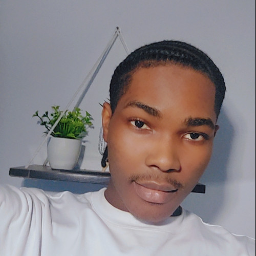 David E. profile photo